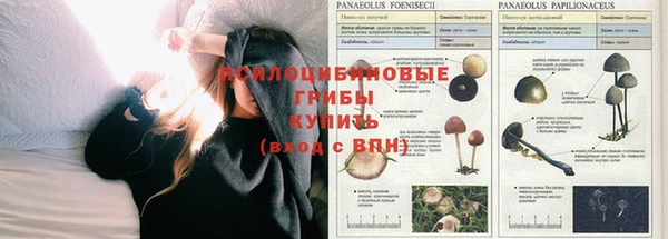 кокаин VHQ Ладушкин