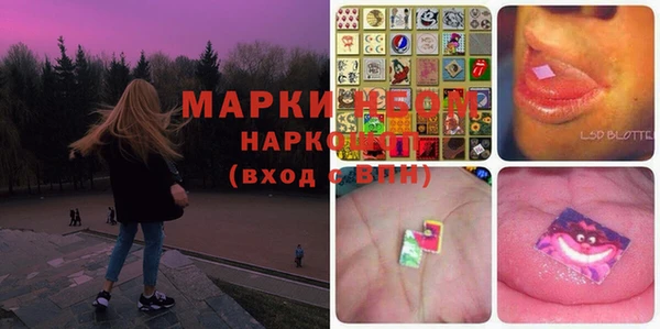 гашик Пересвет